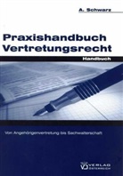 Andrea Schwarz - Praxishandbuch Vertretungsrecht