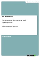 Nils Wilmsmeier - Enkulturation, Soziogenese und Psychogenese