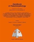 Andrew R Milner, Rainer Schoch, Rainer R Schoch - Handbook of Paleoherpetology / Temnospondyli I