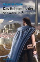 Miguel de Torres, Stefan Böttcher - Das Geheimnis der schwarzen Zitadelle