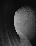 Neil Cox - Richard Serra 2014