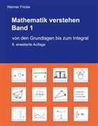Werner Fricke - Mathematik verstehen Band 1