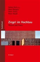 Han Gangoly, Hans Gangoly, Peter Holzer, Peter u a Holzer, Peter Maydl, Anto Pech... - Ziegel im Hochbau