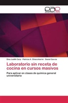 Dina Judit Carp, Dina Judith Carp, Patricia Chiacchiarini, Patricia A Chiacchiarini, Patricia A. Chiacchiarini, Garcia... - Laboratorio sin receta de cocina en cursos masivos