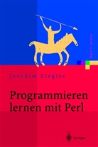 Joachim Ziegler - Programmieren lernen mit Perl