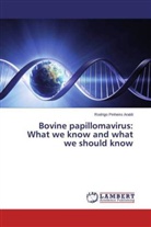 Rodrigo Pinheiro Araldi - Bovine papillomavirus: What we know and what we should know