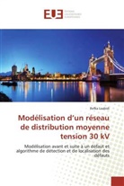 Refka Laabidi, Laabidi-r - Modelisation d un reseau de