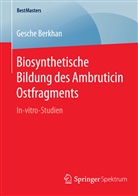 Gesche Berkhan - Biosynthetische Bildung des Ambruticin Ostfragments