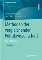 Hans-Joachi Lauth, Hans-Joachim Lauth, Ger Pickel, Gert Pickel, Susanne Pickel - Methoden der vergleichenden Politikwissenschaft