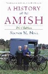 Steven M. Nolt - A History of the Amish