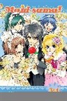 Hiro Fujiwara, Marc Guggenheim, Hiro Fujiwara, Hannah Rose May, Declan Shalvey - Maid-sama! (2-in-1 Edition), Vol. 2