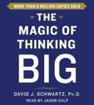 David Schwartz, David J. Schwartz, Jason Culp - The Magic of Thinking Big (Audiolibro)