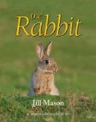 Jill Mason, Jill/ Mason Mason, David Mason - The Rabbit