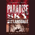 Joe R. Lansdale, Brad Sanders - Paradise Sky (Audio book)