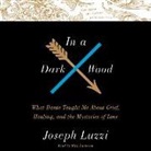 Joseph Luzzi, Rick Adamson - In a Dark Wood: What Dante Taught Me about Grief, Healing, and the Mysteries of Love (Hörbuch)