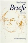 Ludwig van Beethoven, Ludwig Van Beethoven, Beethoven-Haus Bonn (Brandenburg) - Briefwechsel Band 3