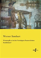 Werner Sombart - Warum gibt es in den Vereinigten Staaten keinen Sozialismus?