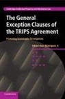 Edson Beas Rodrigues, Jr Beas Rodrigues, Jr Edson Beas Rodrigues, Jr. Edson Beas Rodrigues, Edson Beas Rodrigues Jr, Edson Beas Rodrigues Jr - General Exception Clauses of the Trips Agreement