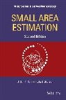 J. N. K. Rao, MOLINA, Isabel Molina, RAO, J N Rao, J N K Rao... - Small Area Estimation