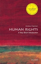 Andrew Clapham - Human Rights
