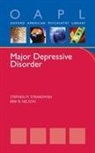 Erik Nelson, Nelson Erik, Stephen Strakowski, Stephen M. Strakowski, Stephen M. Nelson Strakowski - Major Depressive Disorder