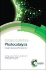 Jenny Schneider, Jenny (Leibniz University of Hannover Schneider, Jenny Bahnemann Schneider, Detlef Bahnemann, Detlef (Leibniz University of Hannover Bahnemann, Dionysios D Dionysiou... - Photocatalysis