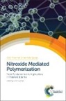 Didier Gigmes, Didier (Aix-Marseille University Gigmes, Prof. Didier (Aix-Marseille University Gigmes, Didier Gigmes, Didier (Aix-Marseille University Gigmes - Nitroxide Mediated Polymerization