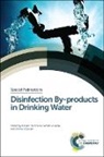 K Clive (Alcontrol Uk Ltd Thompson, K Clive Gillespie Thompson, K. Clive Gillespie Thompson, Prof. K Clive (Alcontrol Uk Ltd Thompson, Simon Gillespie, Simon (Scottish Water Gillespie... - Disinfection By-Products in Drinking Water