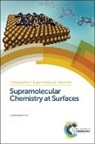 Amabilino, David B Amabilino, David B (University of Nottingham Amabilino, David B. Amabilino, Prof. David B (University of Nottingham Amabilino - Supramolecular Chemistry At Surfaces