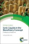 Rafal Bogel-Lukasik, Rafal (National Laboratory of Energ Bogel-Lukasik, Rafal Bogel-Lukasik, Rafal (National Laboratory of Energy and Geology IP Bogel-Lukasik - Ionic Liquids in the Biorefinery Concept