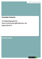 Franziska Tiemann - Sozialpädagogische Interventionsmöglichkeiten im Jugendarrest