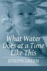 Joseph Green, Lana Hechtman Ayers - What Water Does at a Time Like This