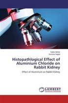 Sobi Akhtar, Sobia Akhtar, SUMERA SAJJAD - Histopathlogical Effect of Aluminium Chloride on Rabbit Kidney