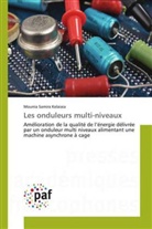 Mounia Samira Kelaiaia, Kelaiaia-m - Les onduleurs multi-niveaux