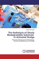 Jakub Drewnowski - The Hydrolysis of Slowly Biodegradable Substrate in Activated Sludge