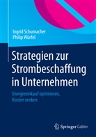 Ingri Schumacher, Ingrid Schumacher, Philip Würfel - Strategien zur Strombeschaffung in Unternehmen
