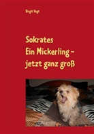 Birgit Vogt - Sokrates  Ein Mickerling - jetzt ganz groß