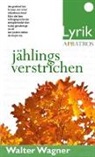 Walter Wagner - jählings verstrichen