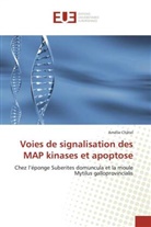 Amélie Châtel, Chatel-a - Voies de signalisation des map