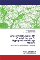 Ahme Dakrory, Ahmed Dakrory, Abdel-Fattah El-Shershaby, Fatm Kassem, Fatma Kassem - Anatomical Studies On Cranial Nerves Of Hypophthalmichthys Molitrix
