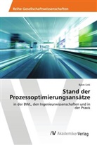 Björn Link - Stand der Prozessoptimierungsansätze