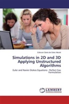 Edisson Sávio de Góes Maciel - Simulations in 2D and 3D Applying Unstructured Algorithms