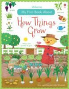 Felicity Brooks, Rosalinde Bonnet - My First Book About How Things Grow