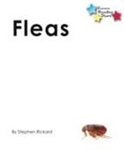 Stephen Rickard, Rickard Stephen - Fleas