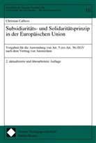 Christian Calliess - Subsidiaritäts- und Solidaritätsprinzip in der Europäischen Union