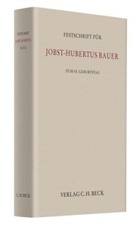 Ulrich Baeck, Friedrich Hauck, Ulrich Preis, Volker Rieble, Gerhard Röder, Achim Schunder - Festschrift für Jobst-Hubertus Bauer