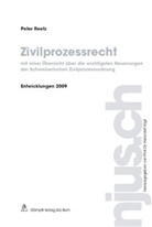 Peter Reetz - Zivilprozessrecht, Entwicklungen 2009