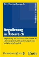 Beat Diewald, Beate Diewald, Helmu Kern, Helmut Kern, Stefan Sumbalsky - Regulierung in Österreich