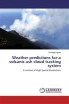Giuseppe Agrillo - Weather predictions for a volcanic ash cloud tracking system