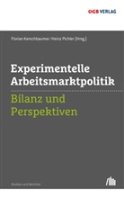 Floria Kerschbaumer, Florian Kerschbaumer, Pichler, Pichler, Heinz Pichler - Experimentelle Arbeitsmarktpolitik (f. Österreich)